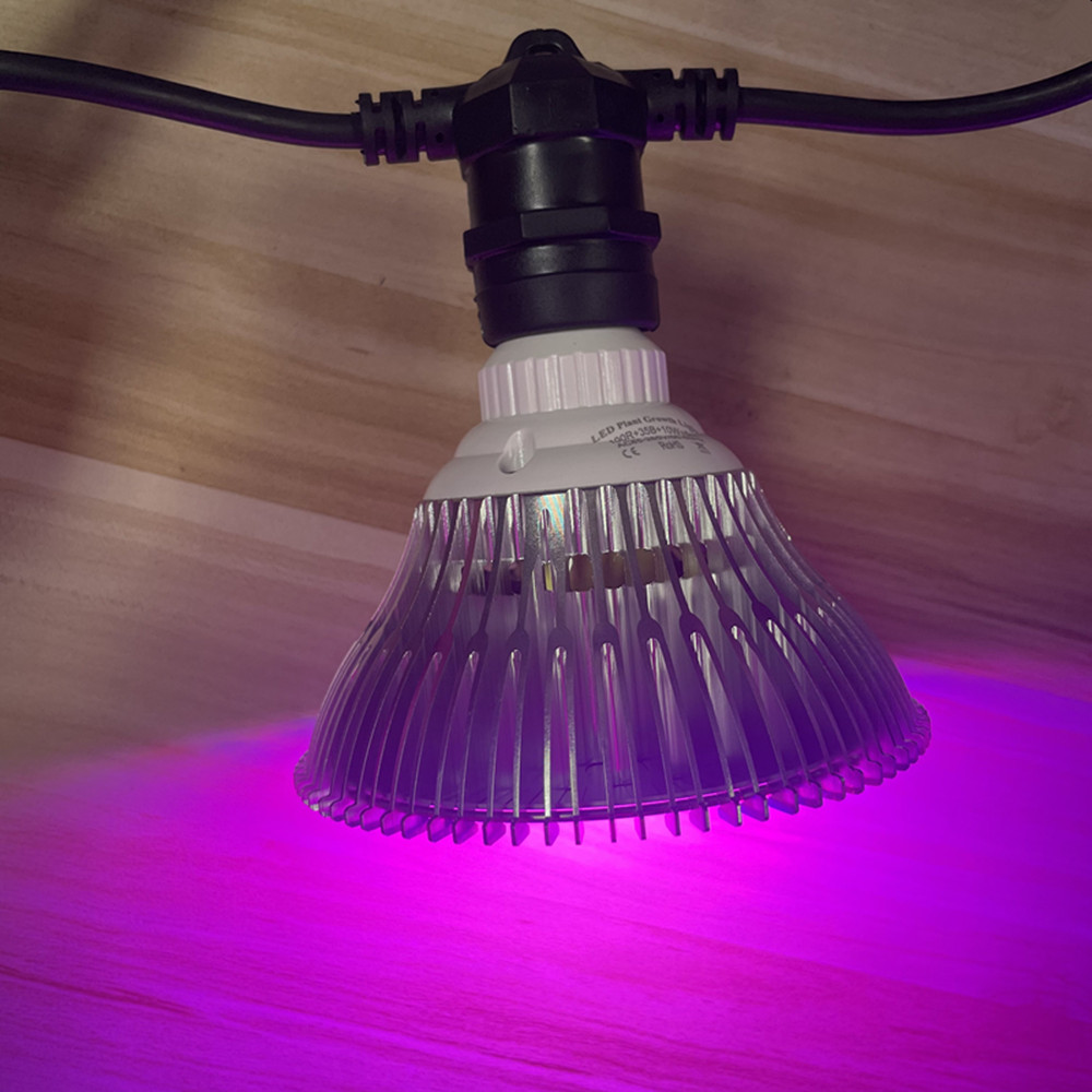 10M Kabel LED, komercyjna jako – Outdoor Lighting Effects recenzja i cena